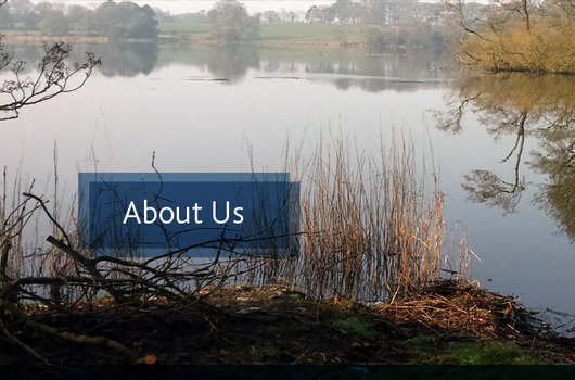 About Boylan Engineering - Engineering and Environmental Consultancy