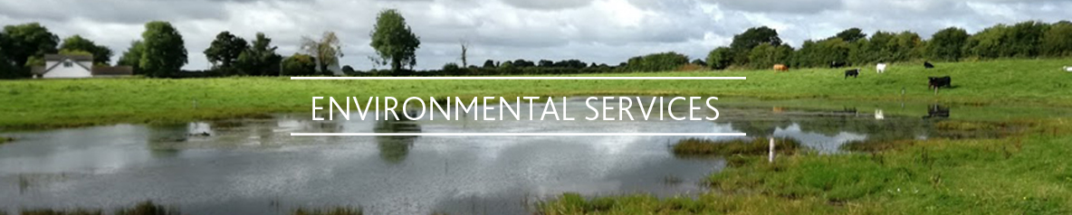 Boylan Engineering and Environmental Consultancy