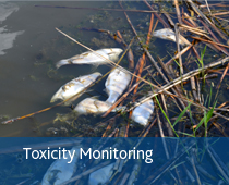 toxic monitoring - Boylan Engineering and Environmental Consultancy